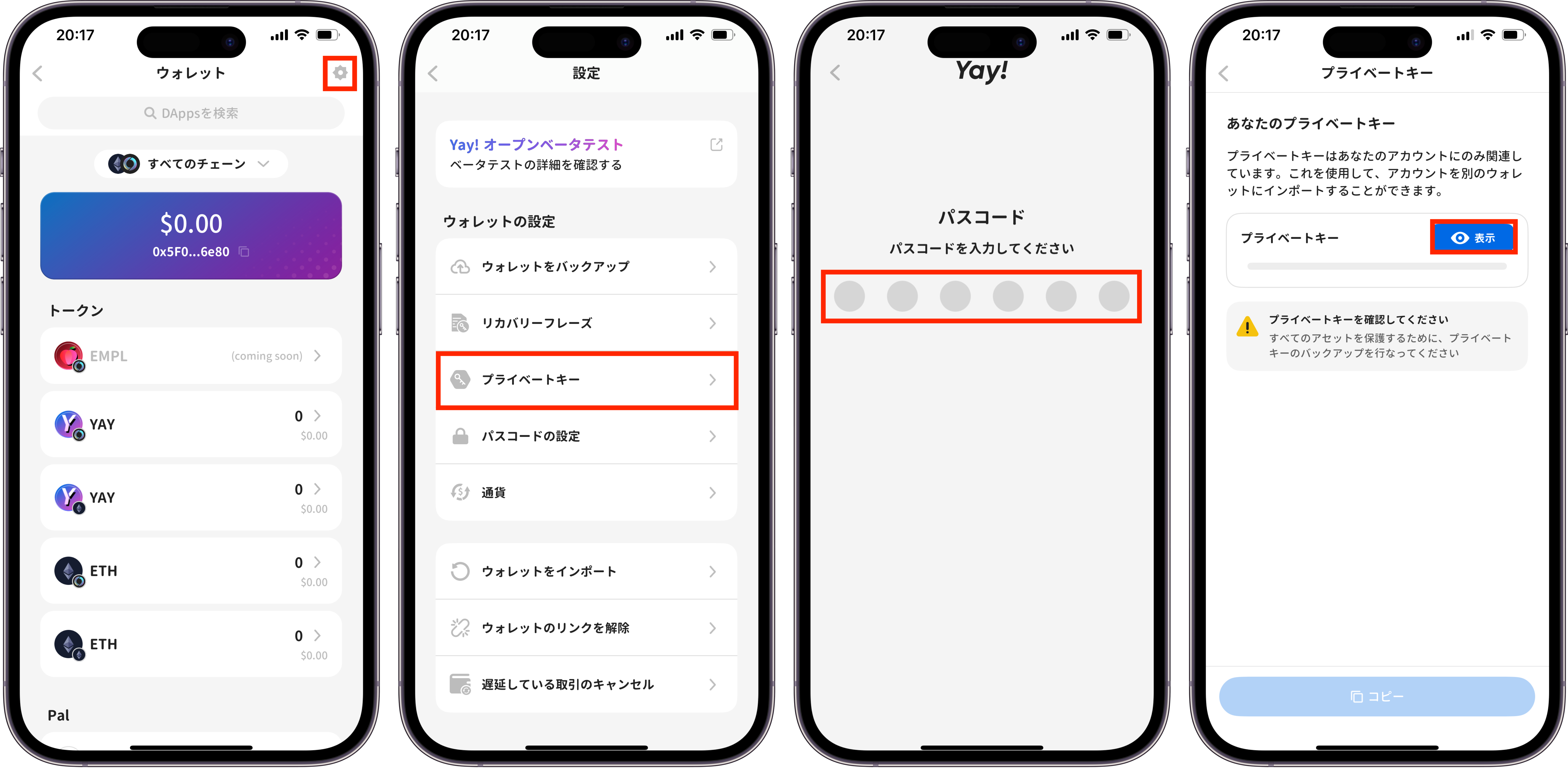 JP confirm PK iOS.png