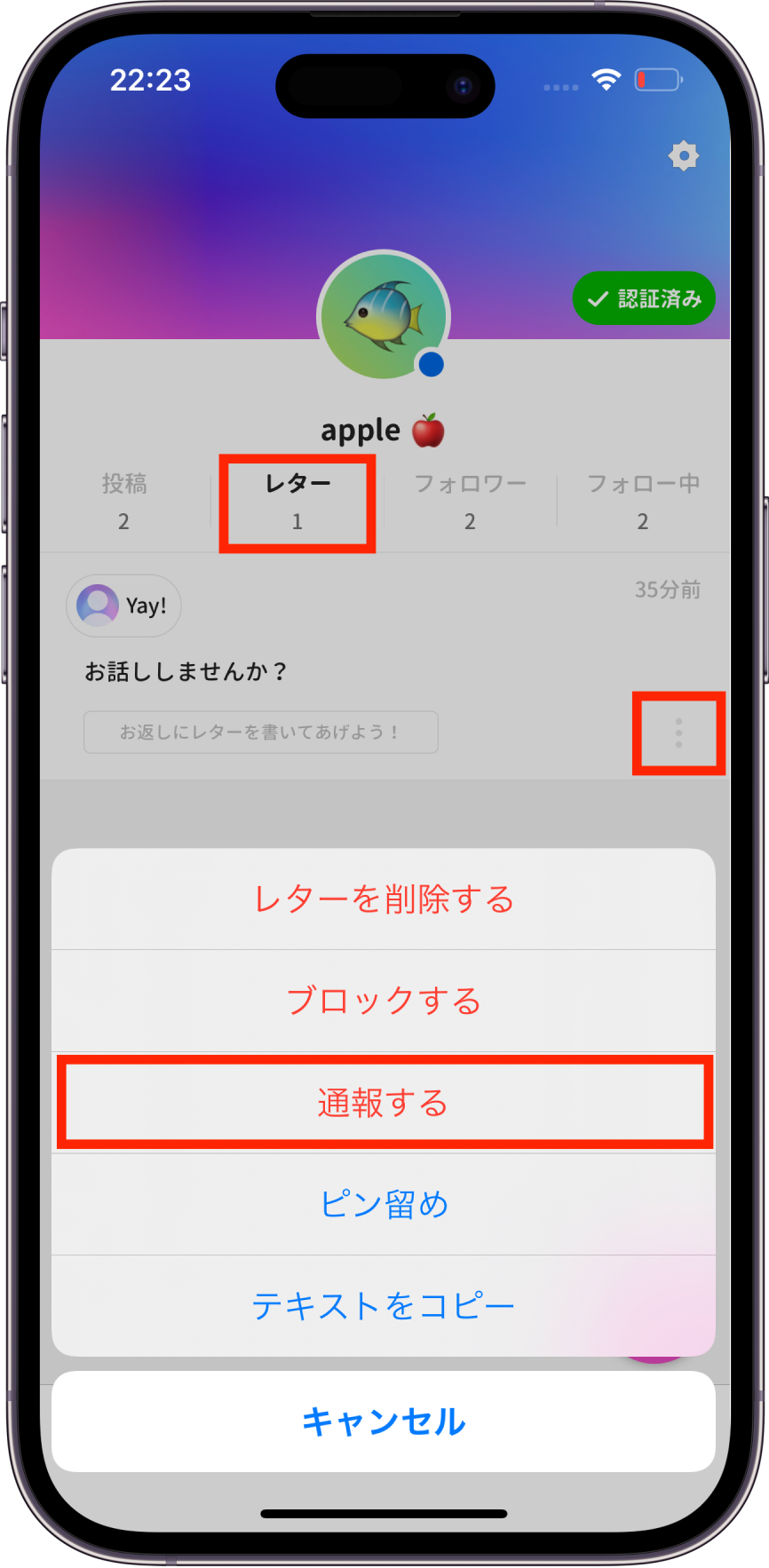 レターからの通報の方法.png