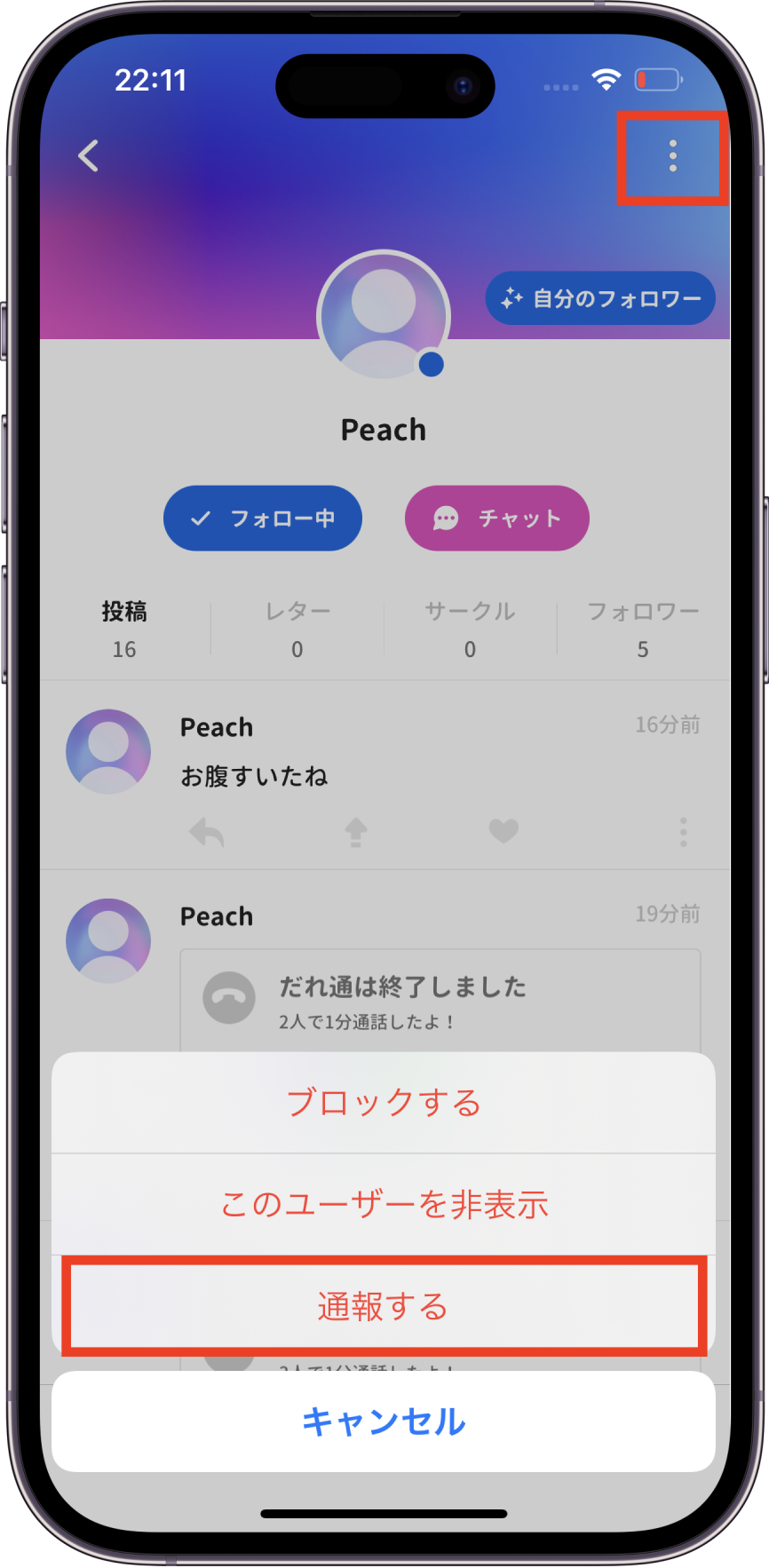 プロフィールからの通報の方法.png