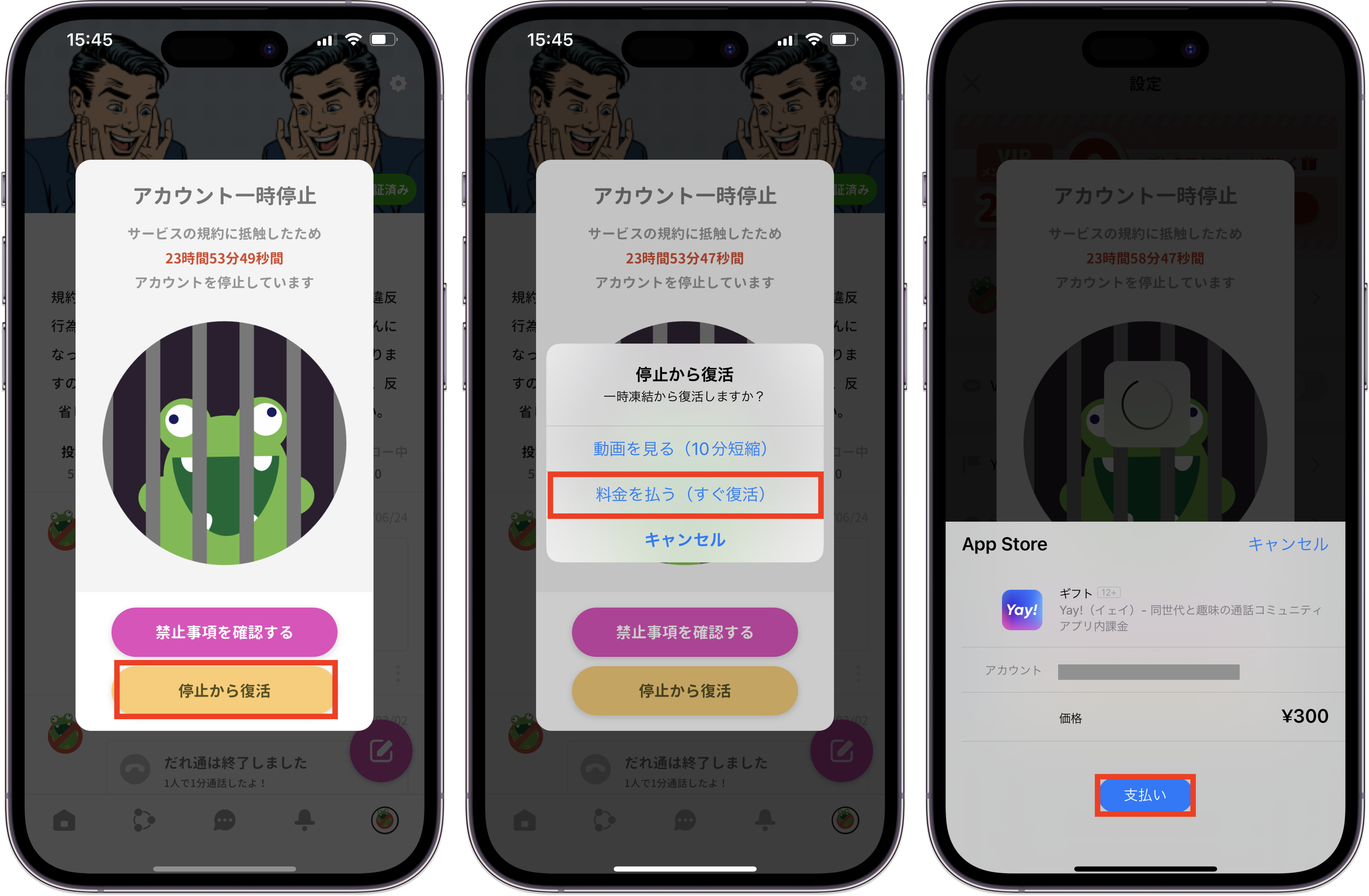 ゴミ虫解除支払い.png